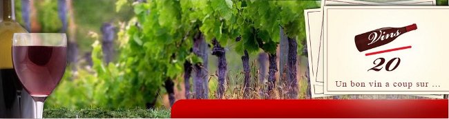 Des SMS pour déguster un bon vin