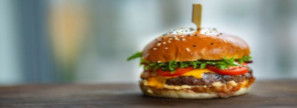 Des envois de SMS pour un restaurant de burgers
