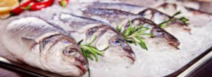 Des envois de SMS commerciaux pour du poisson d’excellence