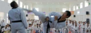 Des envois groupés de SMS pour une association de Taekwondo